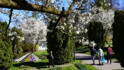 Il Giardino Botanico “Alexandru Borza” di Cluj-Napoca