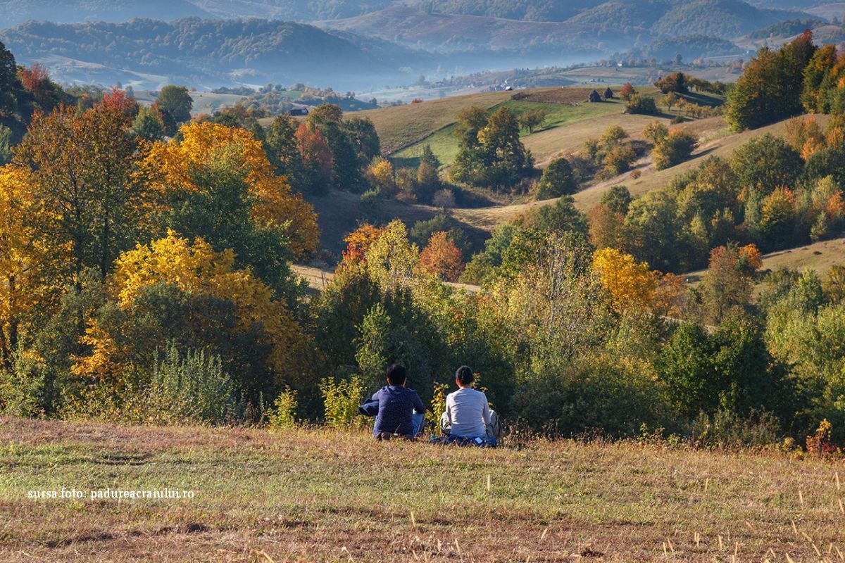 Pădurea Craiului (sursa foto: padureacraiului.ro)