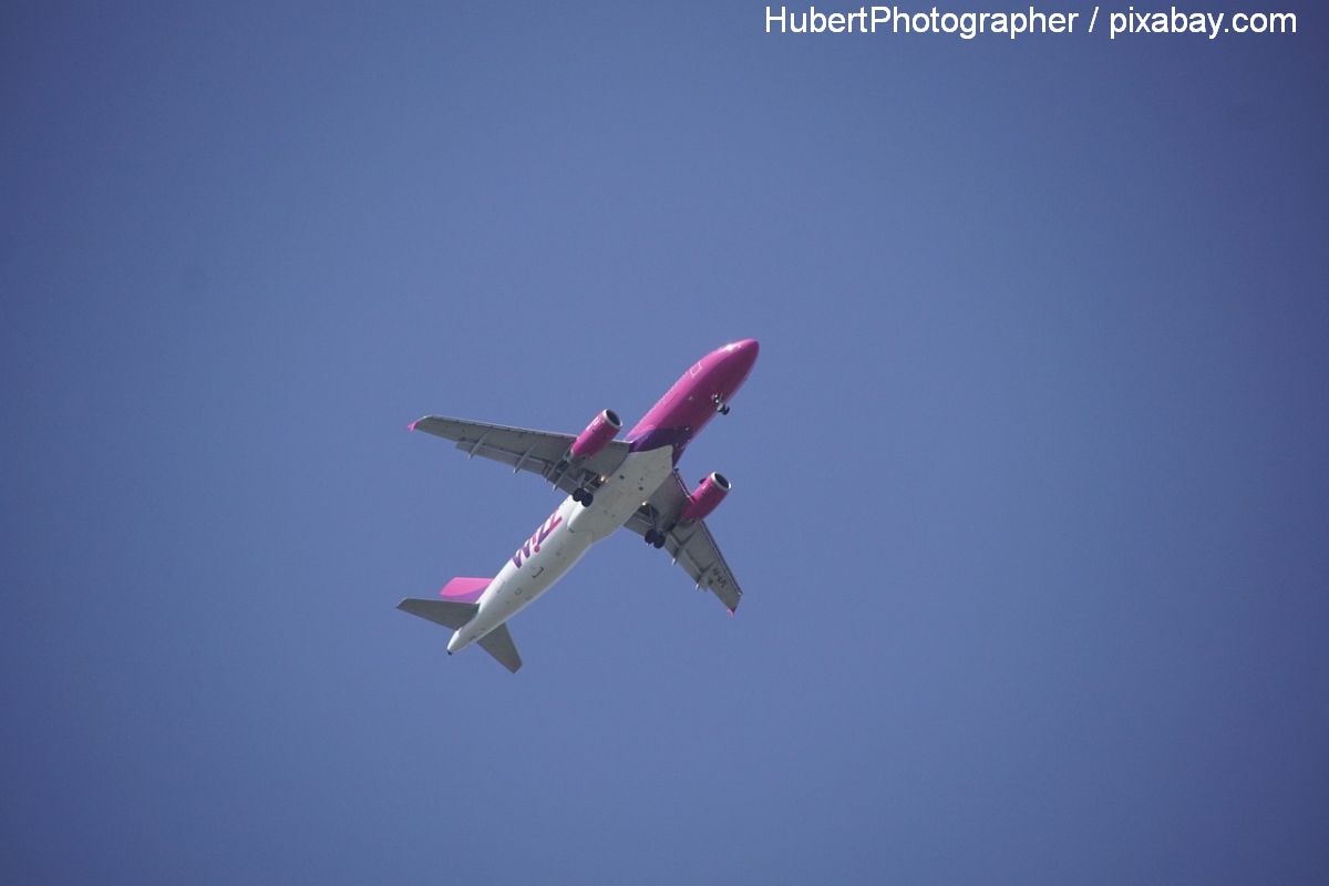 Serviciile online ale Wizz Air, din nou disponibile