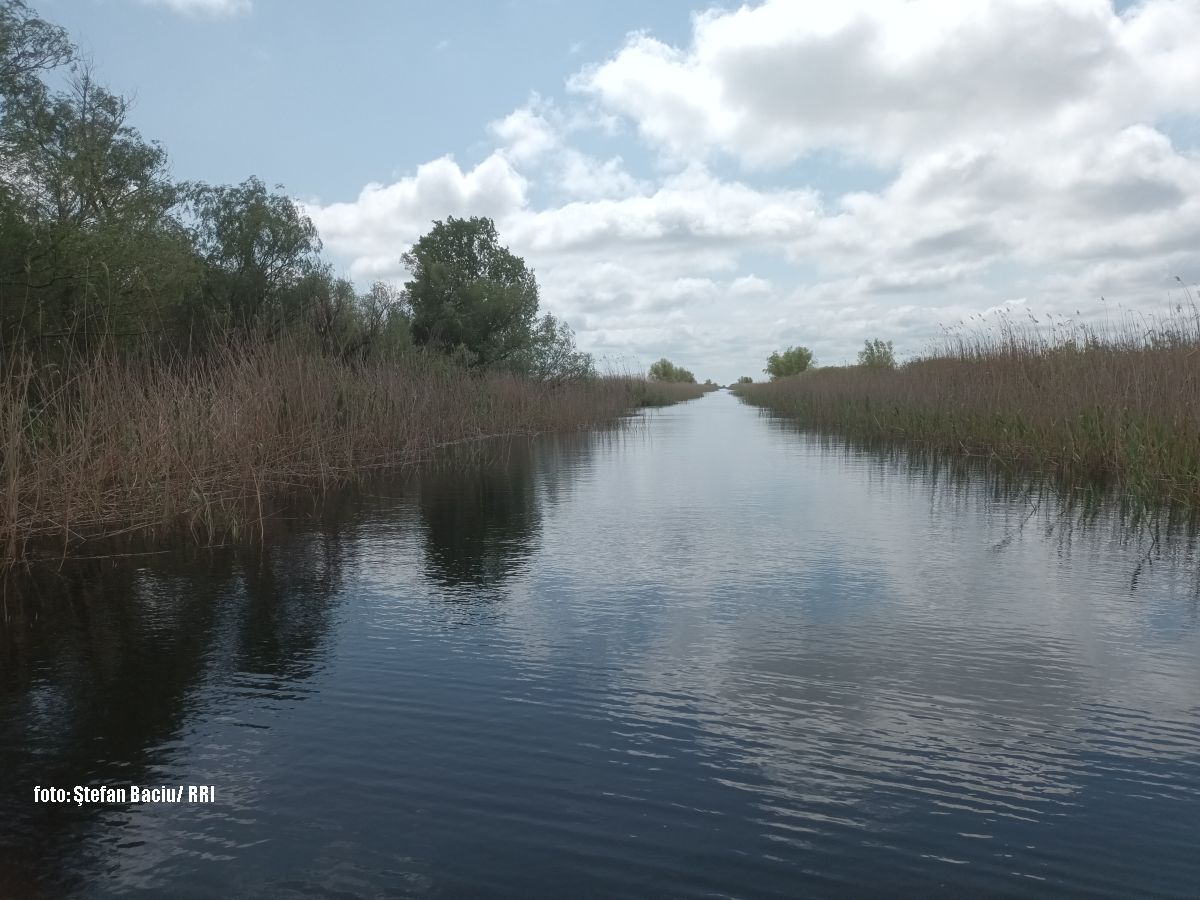 Delta Dunava (foto Stefan Baciu RRI)