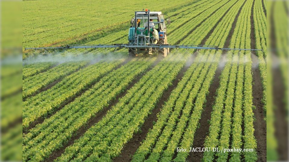 Soutien financier aux agriculteurs roumains touchés par la sécheresse