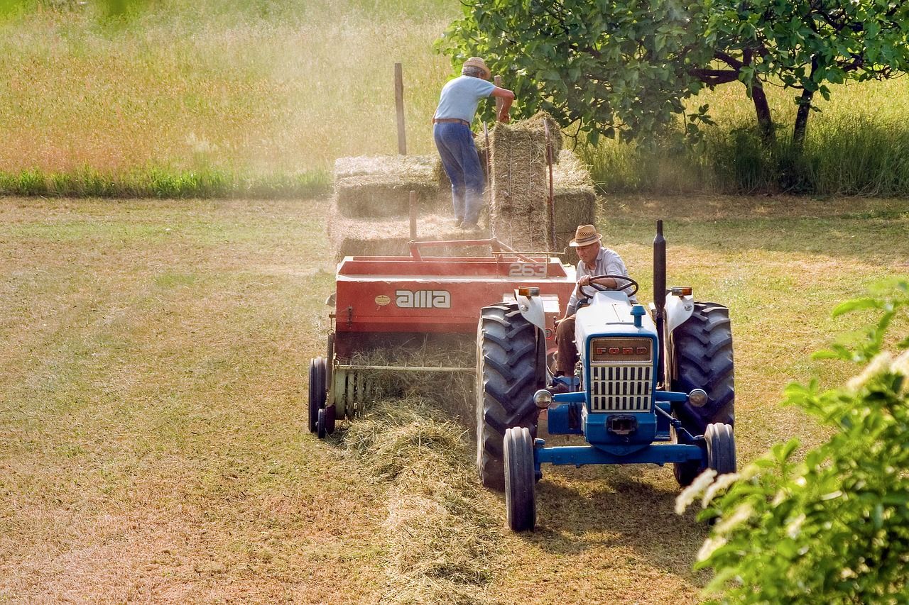 Agricultura (foto: Camera-man / pixabay.com)