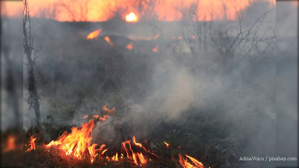 Rapport :  “La Russie nuit à l’Ukraine, mais aussi à notre climat”