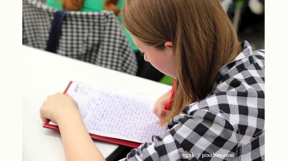 El programa educativo, a debate