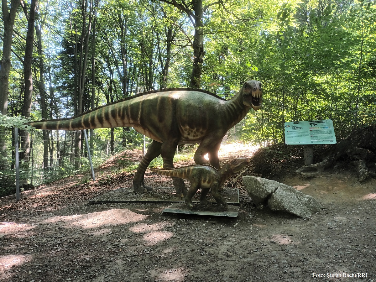 Le Dino Parc de Rasnov