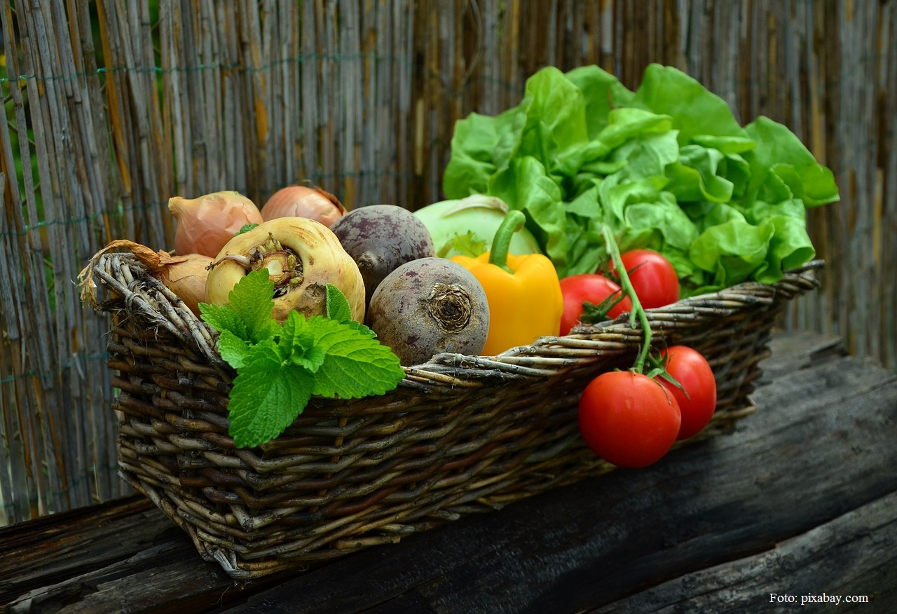 The Short Food Chain Association at ‘Green Week’ in Berlin