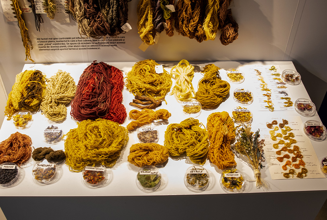 The Natural Dyes  Exhibition at the History Museum