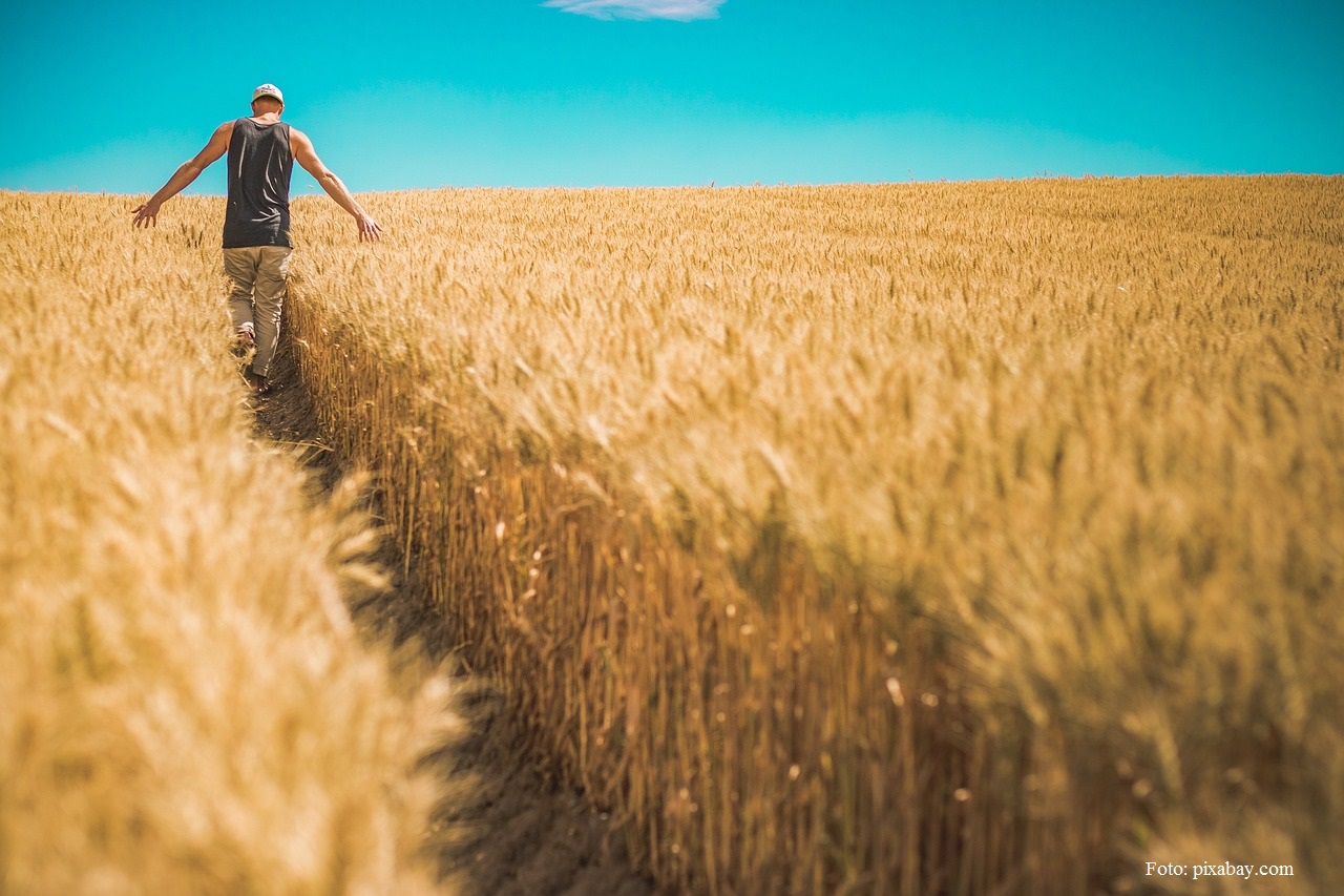 Los agricultores y la Política Agrícola Común