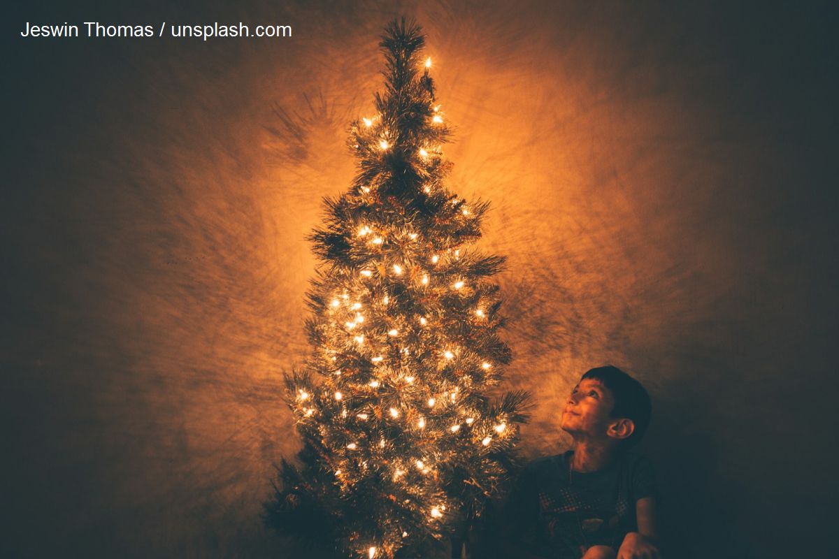 The Christmas tree, between tradition and modernity