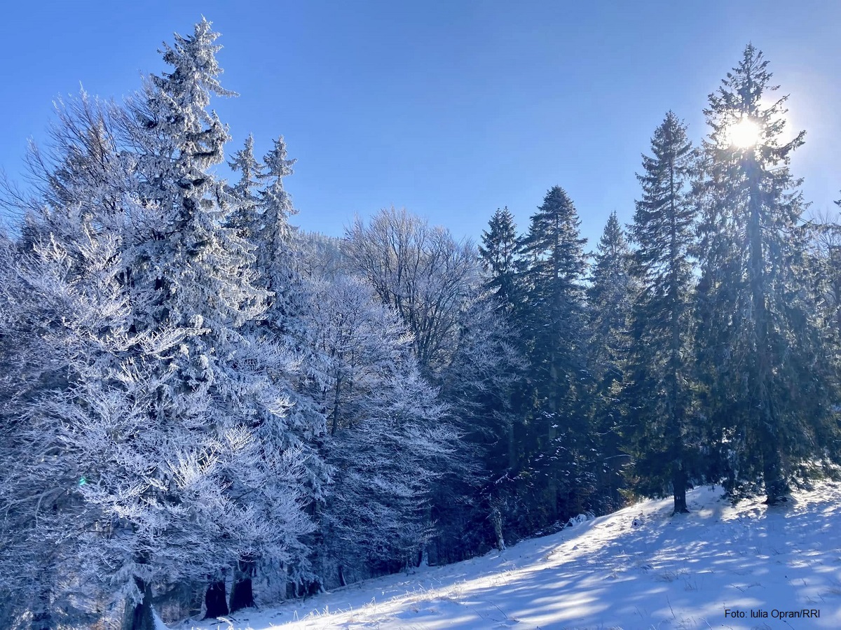 La miscelánea: Invierno mágico en Rumanía