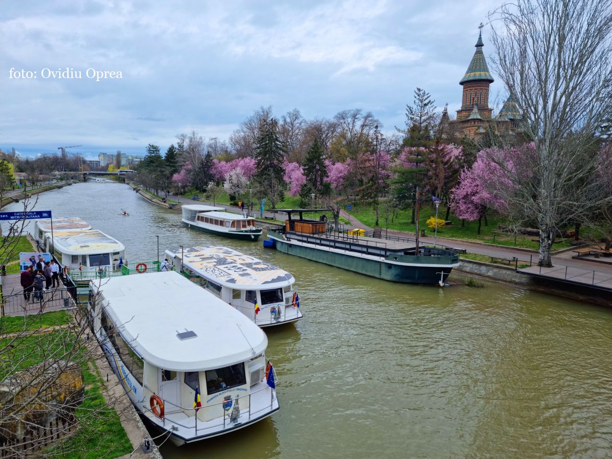 Timișoara