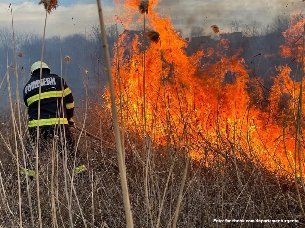 El peligro de los incendios de vegetación